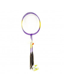 Raquettes de badminton x2 avec un volant